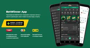 BetWinner Bookmaker A Comprehensive Guide to Betting Online